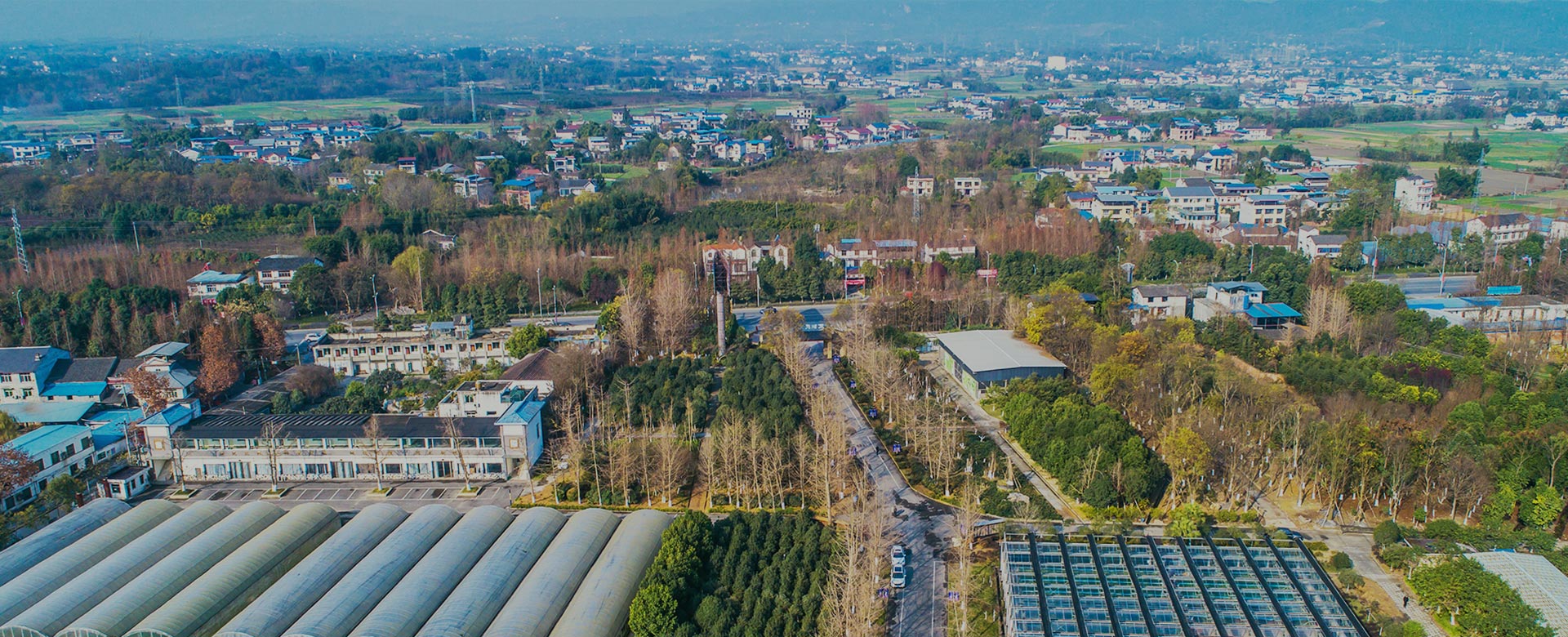 蔬菜品種育苗、示范推廣、基地種植、農(nóng)產(chǎn)品生產(chǎn)、加工 、銷(xiāo)售
